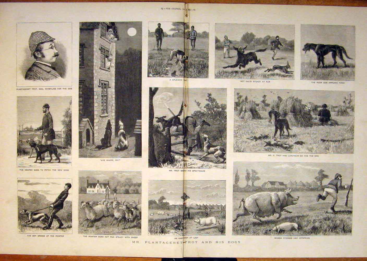 Original Old Antique Print Plantagenet Trot Dogs Dog Sketches Pig 1882 19th