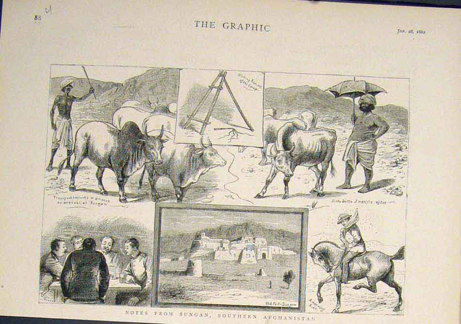 Original Old Antique Print Sungan Afghanistan Sketches Sketch Cattle 1882 19th