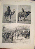 Original Old Antique Print Egypt Camel Buffalo Bedouin Egyptian Princess 1882
