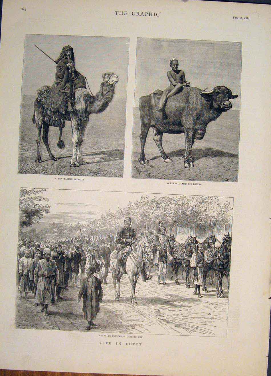 Original Old Antique Print Egypt Camel Buffalo Bedouin Egyptian Princess 1882
