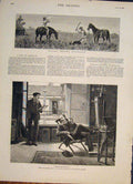 Old Antique Print Wallaby Hunting Hunt Queensland Australia Bartlett 1882 19th