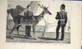 Original Old Antique Print Billy Pet Deer Prince Wales Yorkshire Regiment 1883