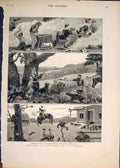 Original Old Antique Print Australia Settler Australian Kangaroo 1883 Victorian