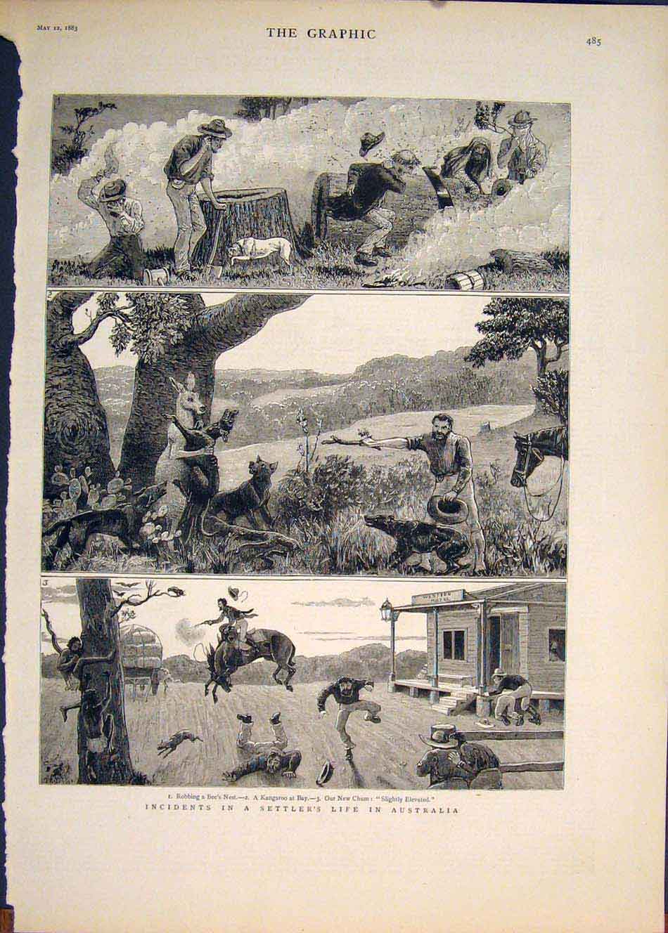 Original Old Antique Print Australia Settler Australian Kangaroo 1883 Victorian
