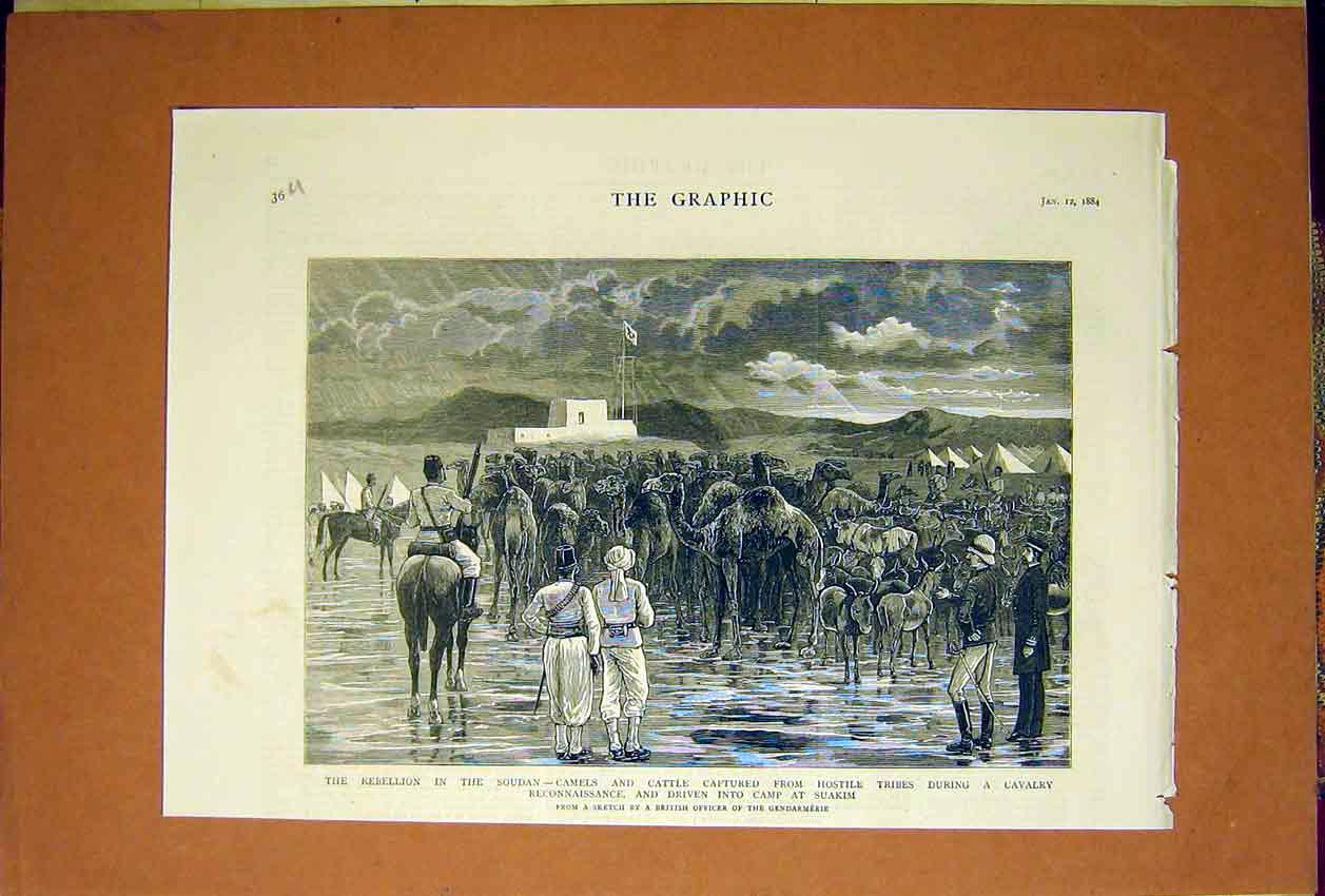 Original Old Antique Print Rebellion Soudan Camels Cattle Cavalry Suakim 1884