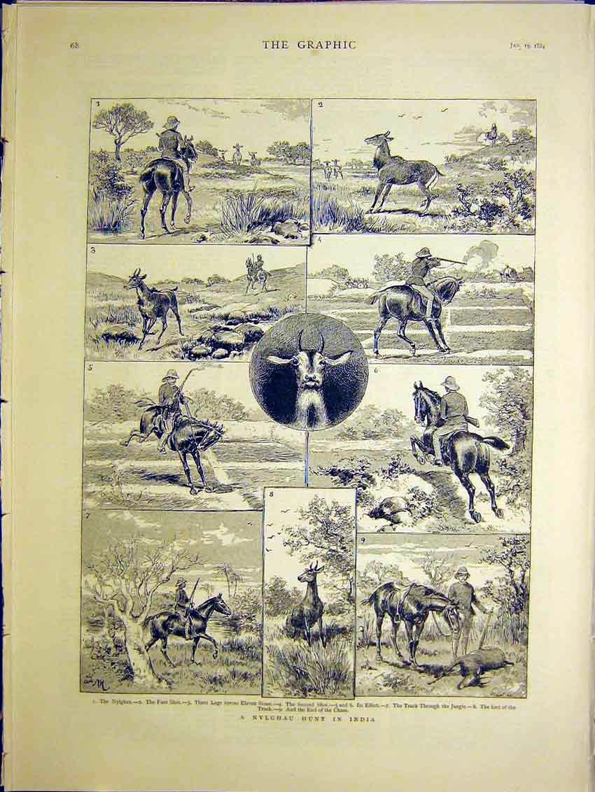 Original Old Antique Print Nylghau Hunt India Hunting 1884 19th