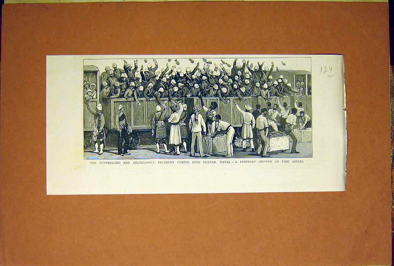 Original Old Antique Print Sutherland Argyllshire Regiment Durban Africa 1884