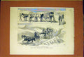 Original Old Antique Print Post-Cart South Africa Horses 1884 19th