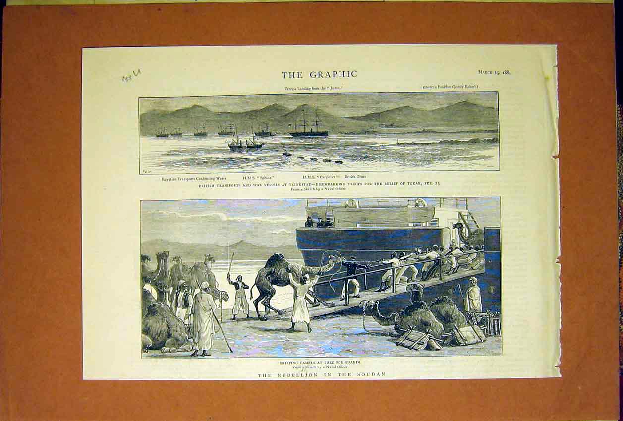 Old Antique Print Hms Ships War Vessels Trinkitat Soudan Camels Suez 1884 19th