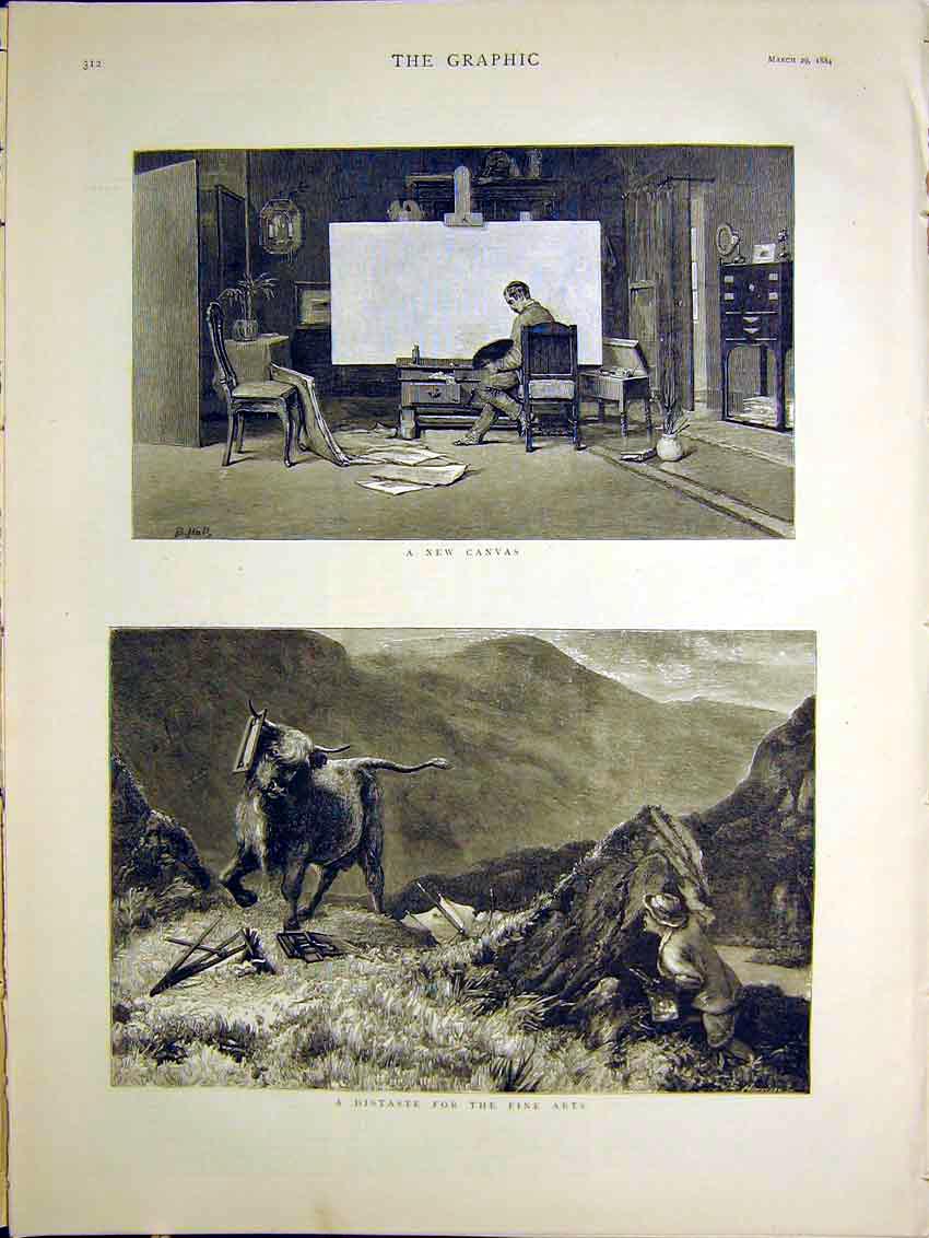 Original Old Antique Print Canvas Distaste Fine Art 1884 Bull Cow 19th