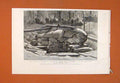 Original Old Antique Print Statue Ramses Memphis Egypt Art Treasure Nile 1887