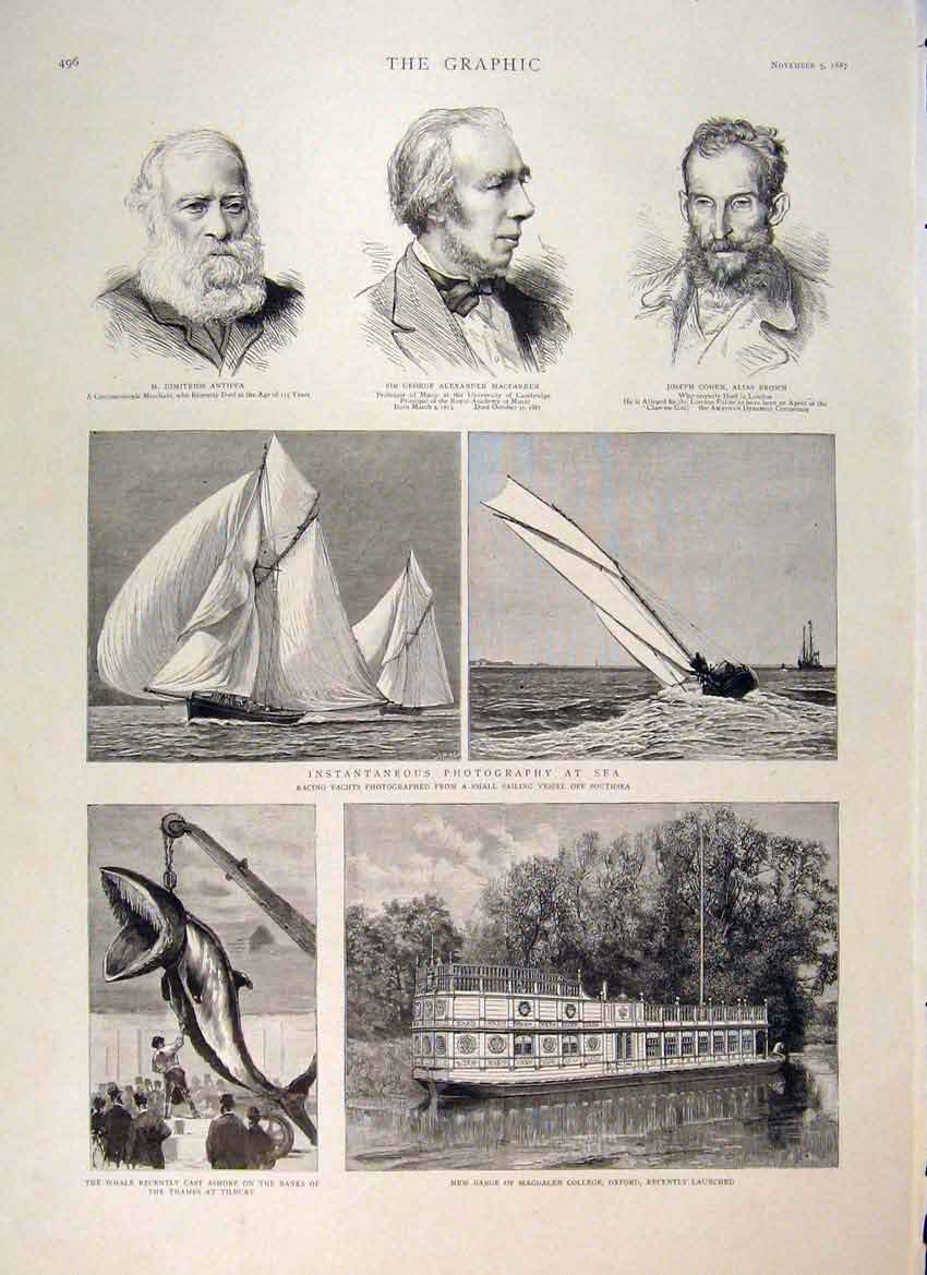 Old Antique Print Antippa Macfarren Cohen Yachts Whale Tilbury Barge 1887 19th
