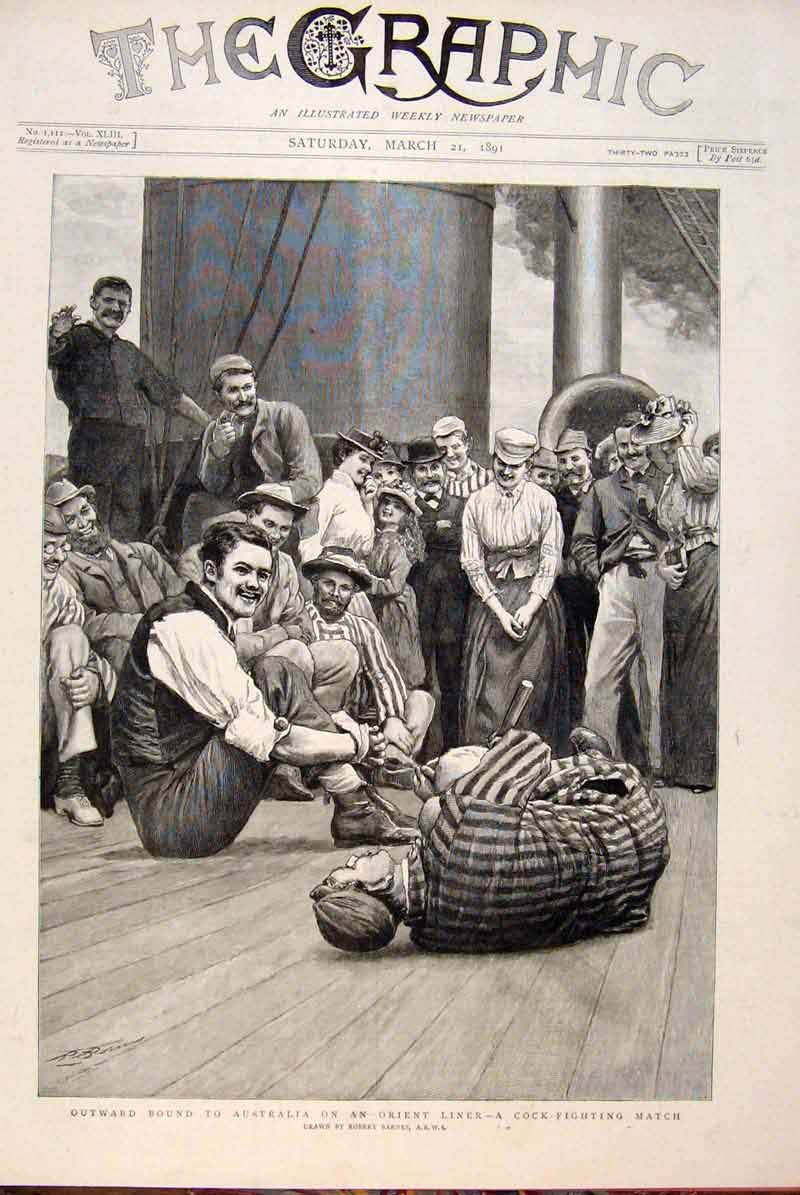 Original Old Antique Print Australia Orient Liner Gamecocks Match Barnes 1891