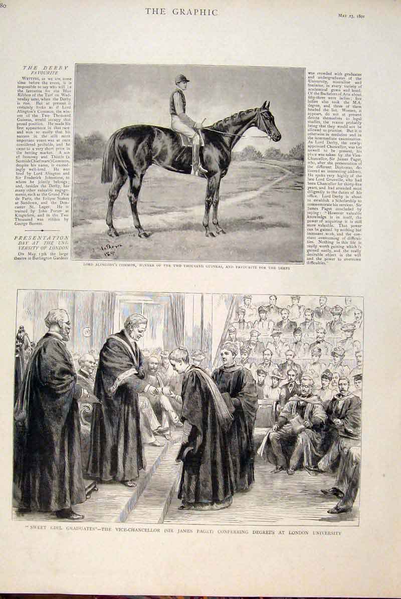 Original Old Antique Print Lord Alington'S Common Derby Horse London University