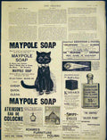 Original Old Antique Print Advert Maypole Holophane Globes Kodak Fishers Cycle