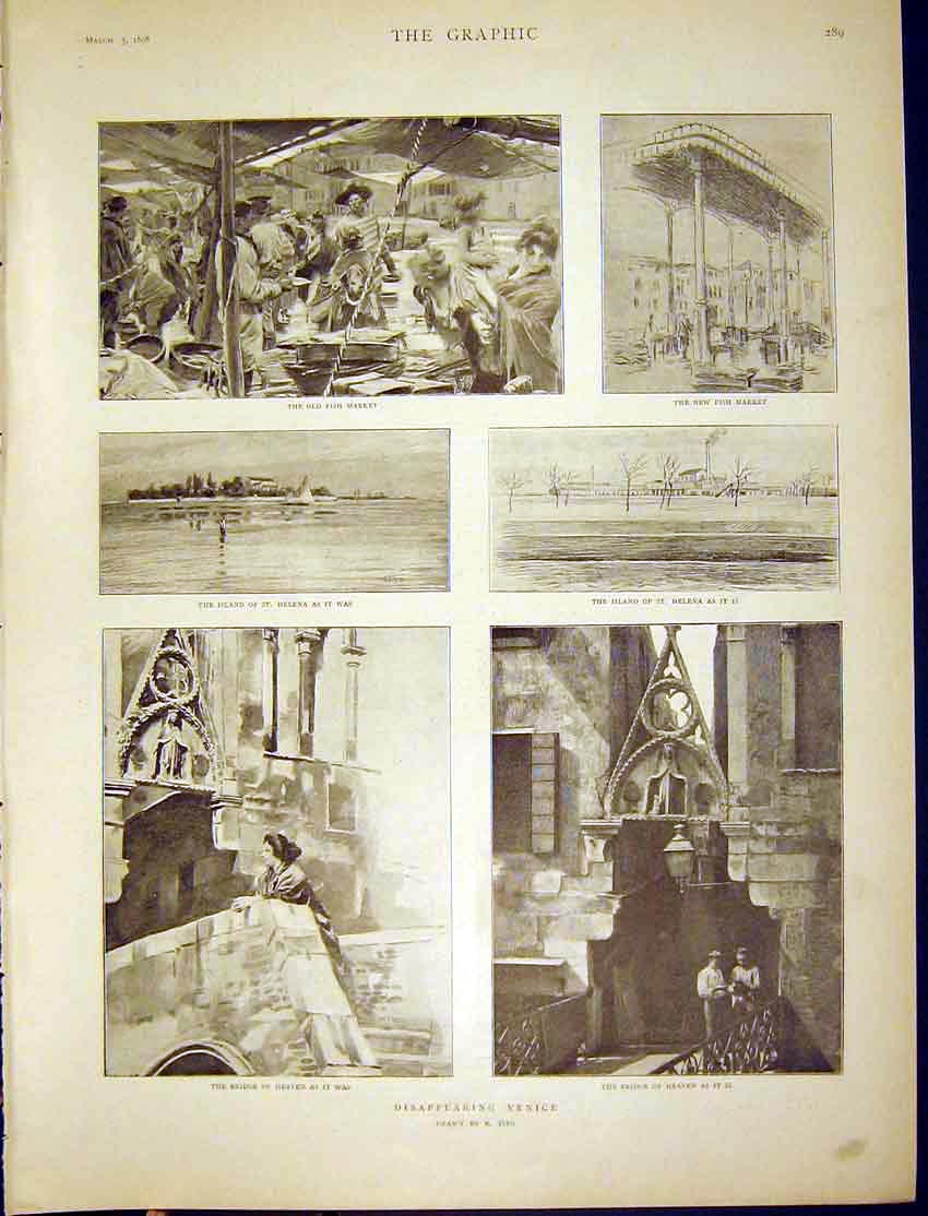 Old Antique Print Venice Disappearing Tito Fish Market Island Helena 1898 19th