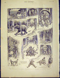 Original Old Antique Print Police Commissioner Troubles Sketches Tropical 1898