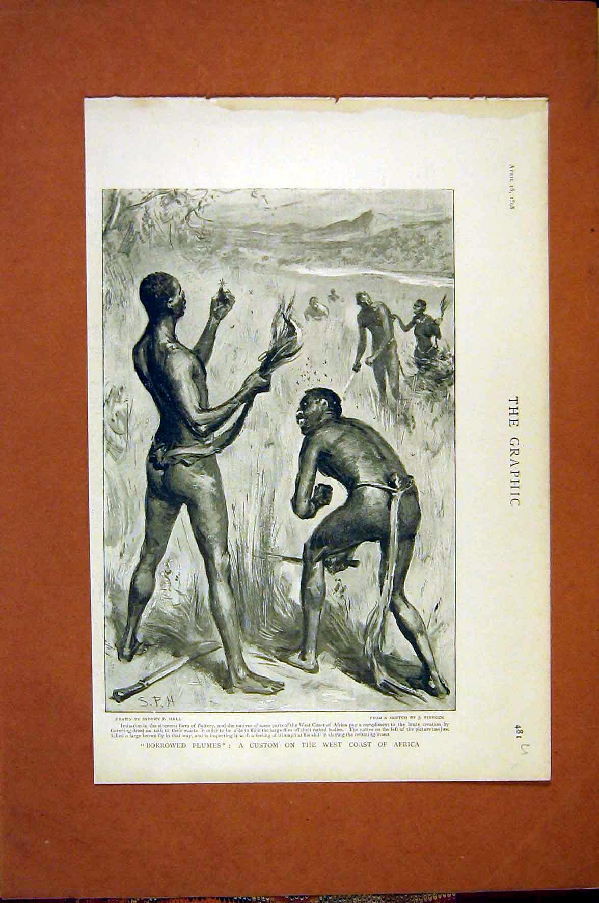 Original Old Antique Print Africa Natives Borrowed Plumes Imitation Hall 1898