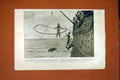 Original Old Antique Print Pacific Squadron Turtles Acapulco Nash 1898 19th