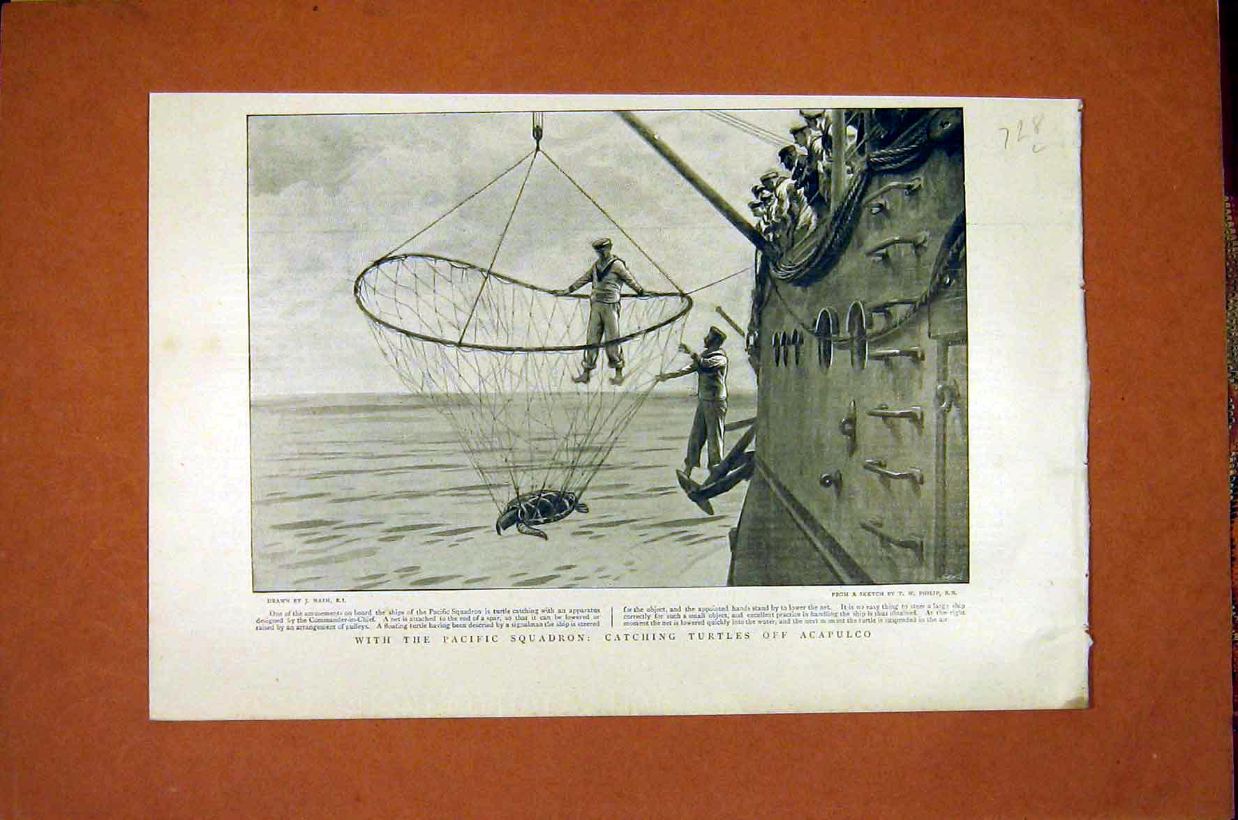Original Old Antique Print Pacific Squadron Turtles Acapulco Nash 1898 19th