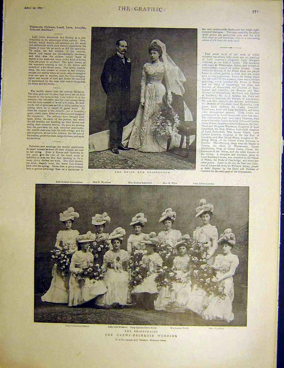 Original Old Antique Print Crewe Primrose Wedding Portrait 1899 19th