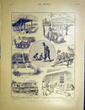 Old Antique Print Samoa Stevenson Beaupre Dog Show Crystal Hyde Park 1899 19th