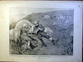 Old Antique Print Battlefield Picnic Boer War Africa Officers Volunteers