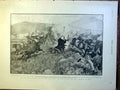 Original Old Antique Print Cattle Enemy Natal Africa Boer War Scott 1900 20th