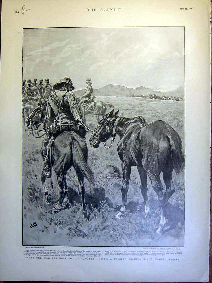 Original Old Antique Print Cavalry Horses Boer War Africa Naval Brigade Lloyds