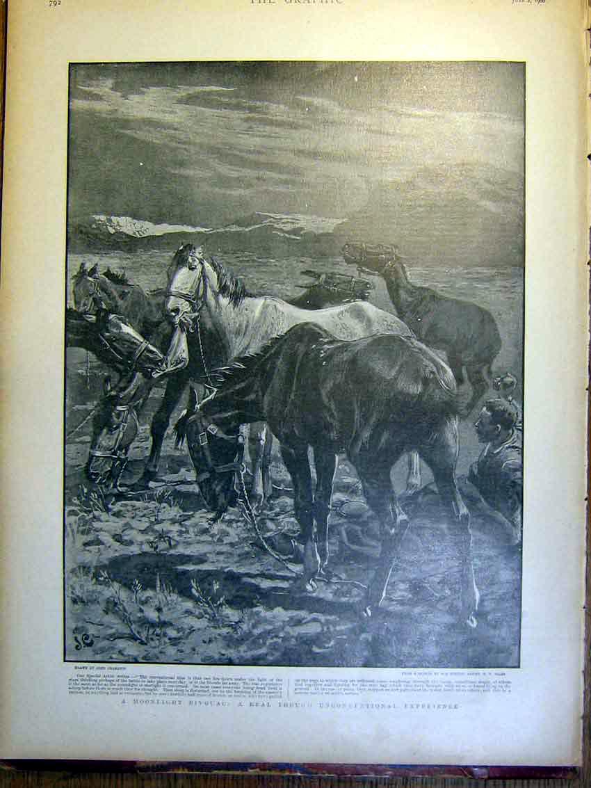 Old Antique Print Bivouac Moonlight Charlton Horses Boer War Africa 1900 20th