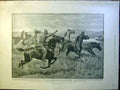 Old Antique Print Charlton Horses Roberts Naval Gun Modder Boer War 1900 20th