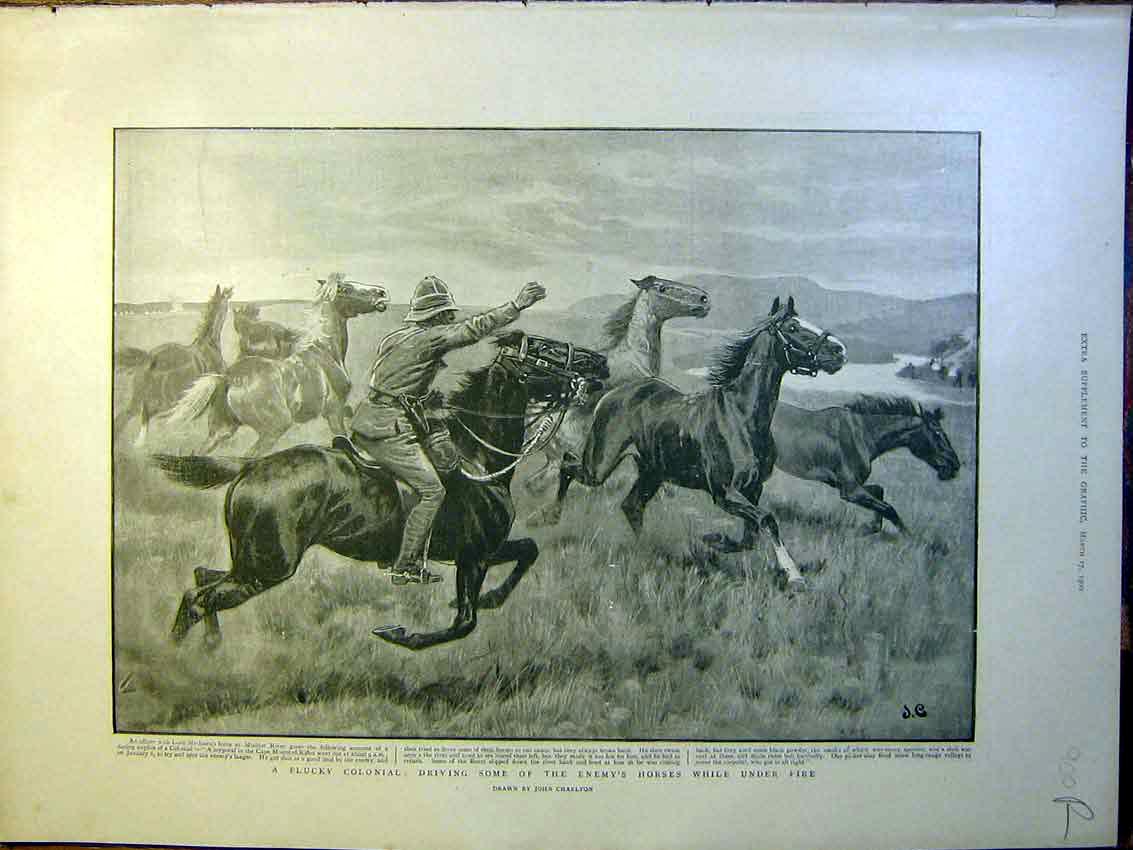 Old Antique Print Charlton Horses Roberts Naval Gun Modder Boer War 1900 20th