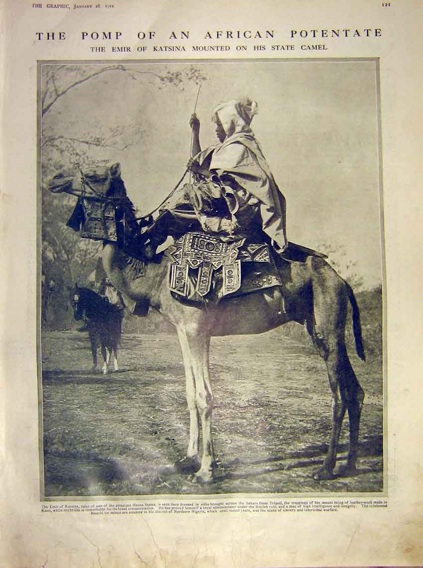 Original Old Antique Print African Potentate Emir Katsina Camel Africa 1911 20th