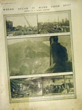 Original Old Antique Print Sugar Beet Dutch Factory 1911 20th Century