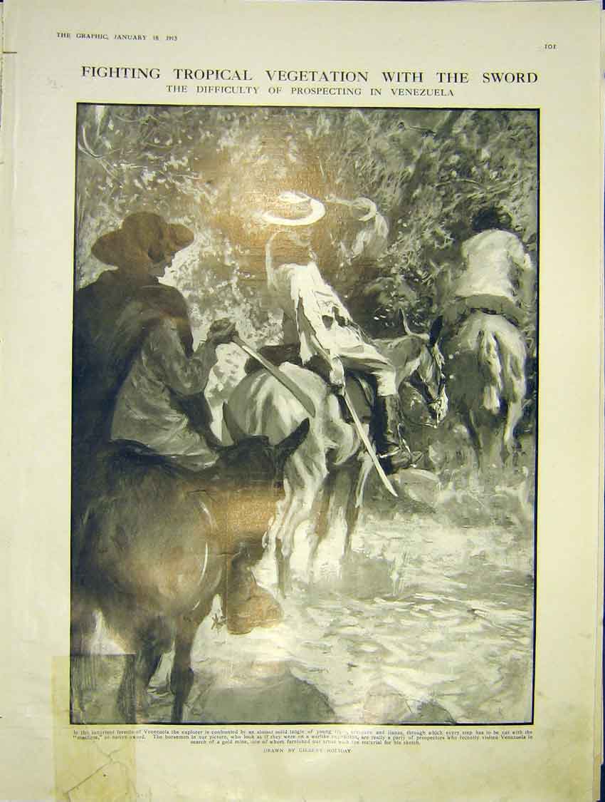 Original Old Antique Print Venezuela Tropical Vegetation Sword Holiday 1913 20th
