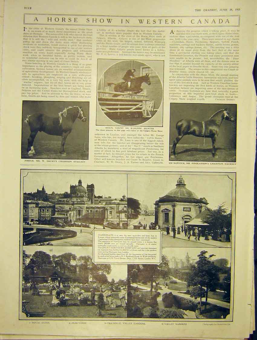 Original Old Antique Print Horse Show Canada Advert Pianola Piano Orchestrelle