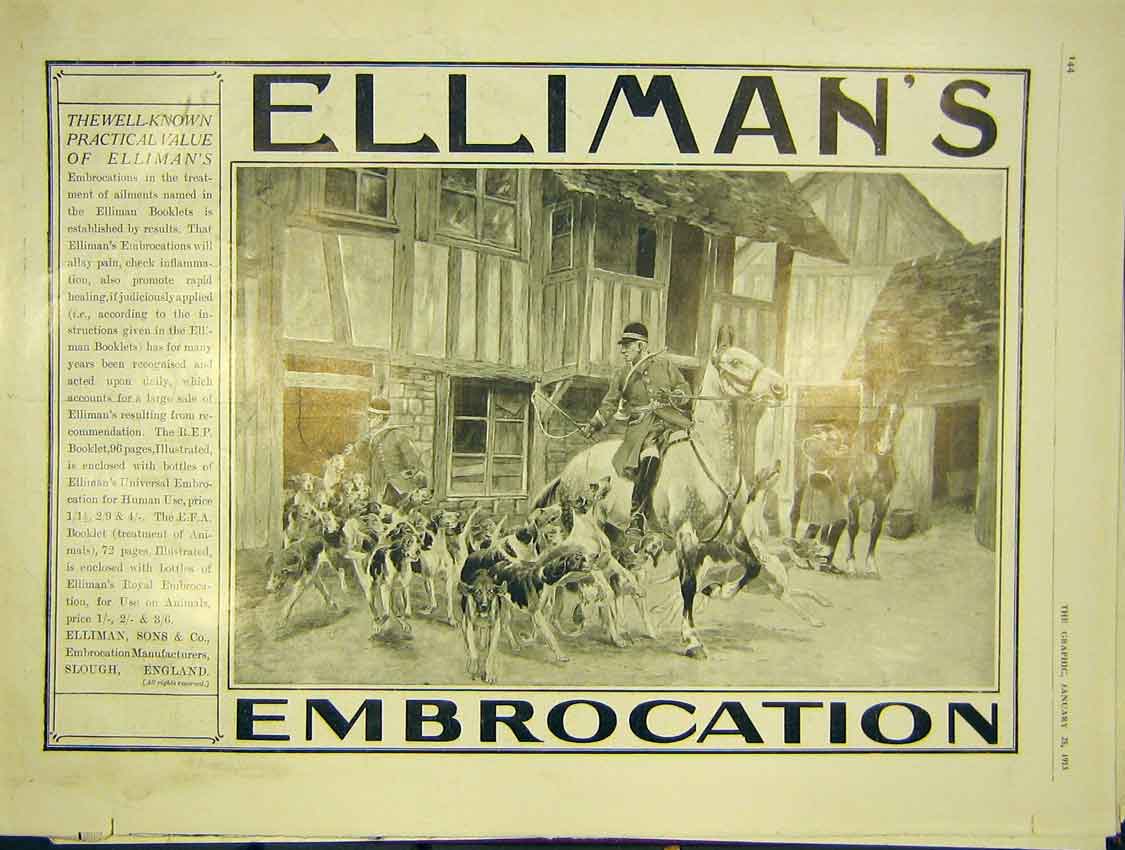 Original Old Antique Print Elliman'S Embrocation Advert Hunt Hounds Horse 1913