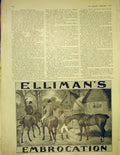 Original Old Antique Print Advert Ellimans Embrocation Horse Hunt 1913 20th