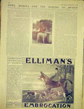 Original Old Antique Print Advert Ellimans Embrocation Princess Victoria 1913