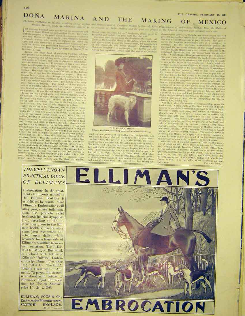 Original Old Antique Print Advert Ellimans Embrocation Princess Victoria 1913