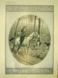 Original Old Antique Print Advert Elliman'S Embrocation Huning Horse Hounds 1913