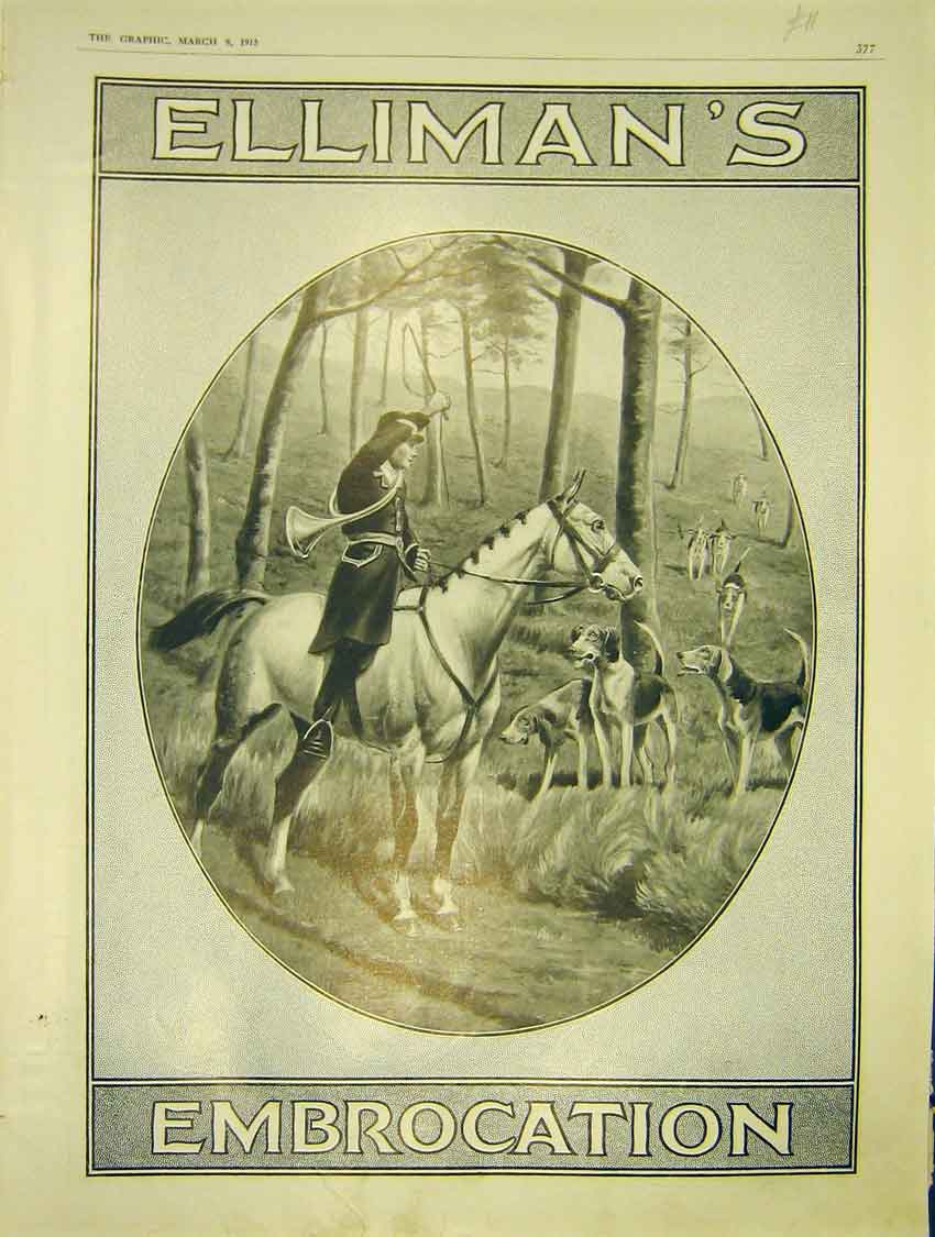 Original Old Antique Print Advert Elliman'S Embrocation Huning Horse Hounds 1913