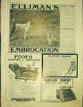 Original Old Antique Print Advert Ellimans Foots Foot And Son Berkefeld Filter