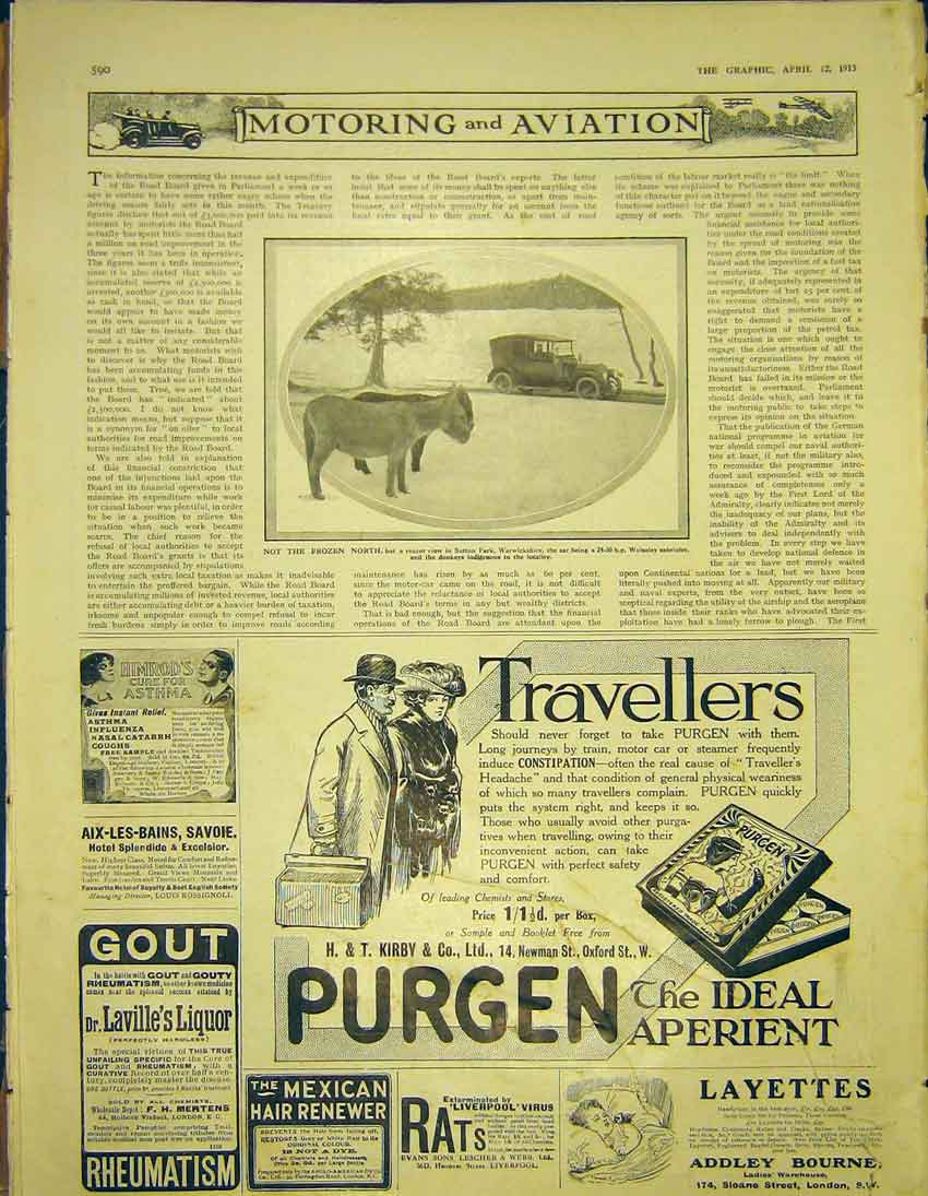 Old Antique Print Advert Purgen Layettes Mertens Gout Himrods Astma 1913 20th
