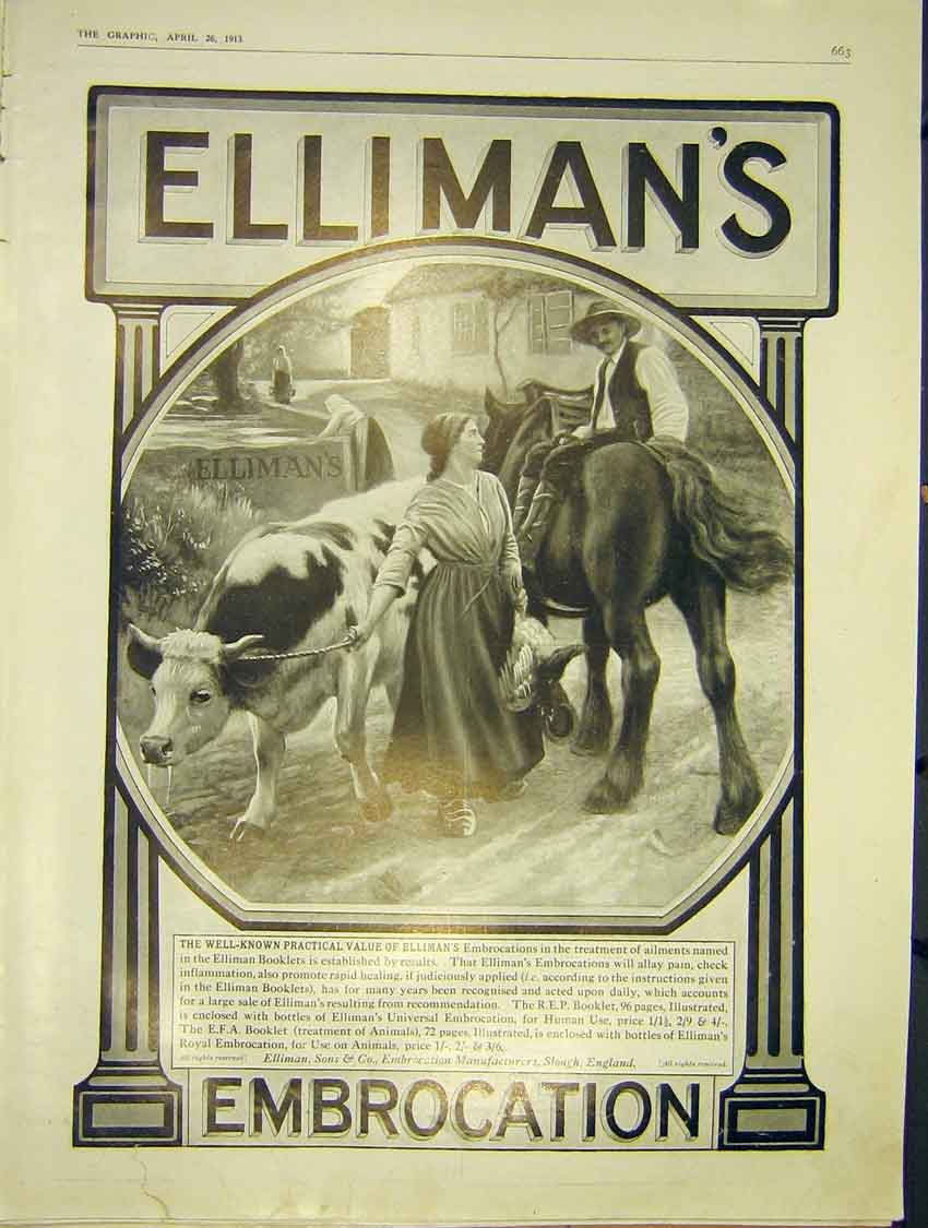 Original Old Antique Print Elliman'S Advert Embrocation Horse Cow Lady 1913 20th