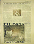 Original Old Antique Print Elliman'S Embrocation Advert Dog Birds Cooper Dickens