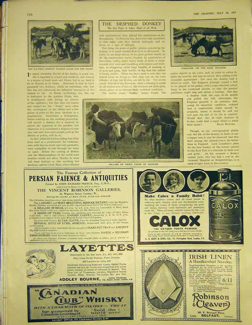 Old Antique Print Advert Calox Layettes Tooth Powder Cleaver Belfast 1913 20th