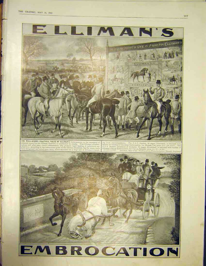 Original Old Antique Print Elliman'S Embrocation Advert Advertisement 1913 20th