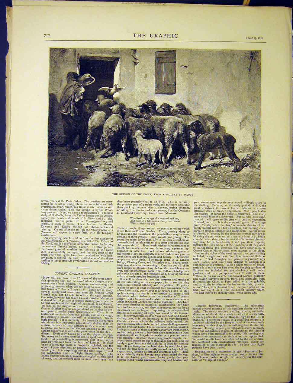 Original Old Antique Print Return Flock Sheep Jacque Fine Art 1870 Victorian