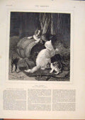 Original Old Antique Print Enemy Lambert Dog Cat Kittens Fine Art 1876 Victorian